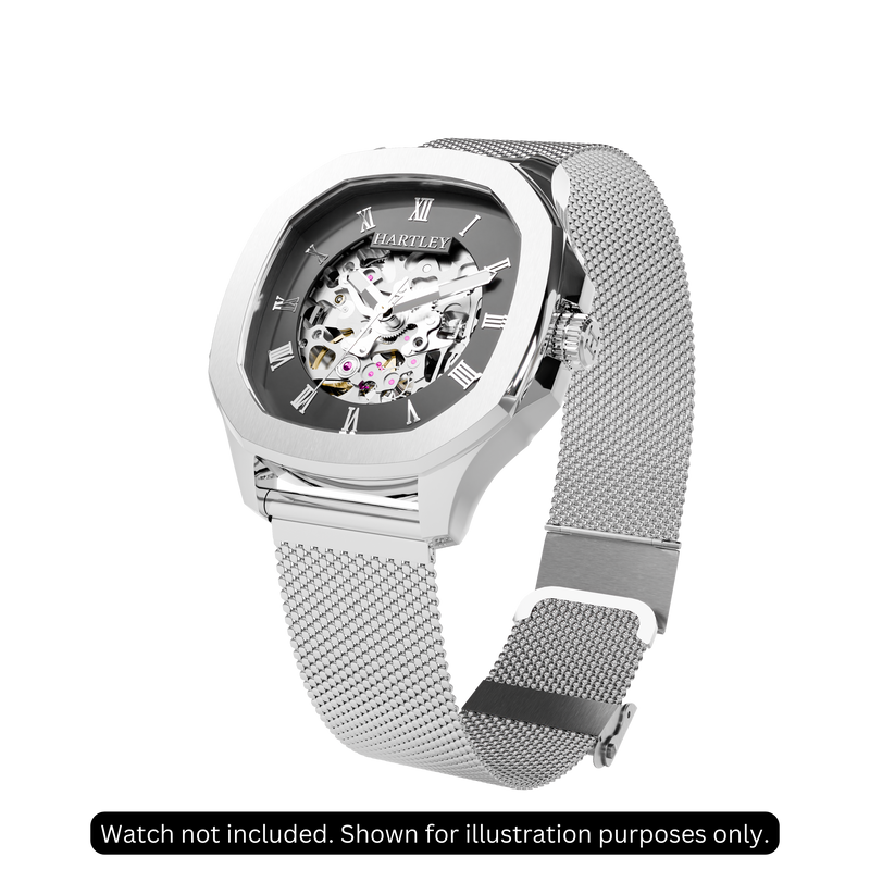 Silver Mesh Strap Example Image 1